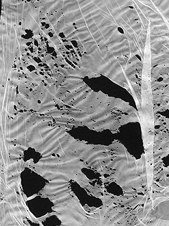 texture-5 size=29.2Kb