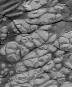 texture-6 size=18.2Kb